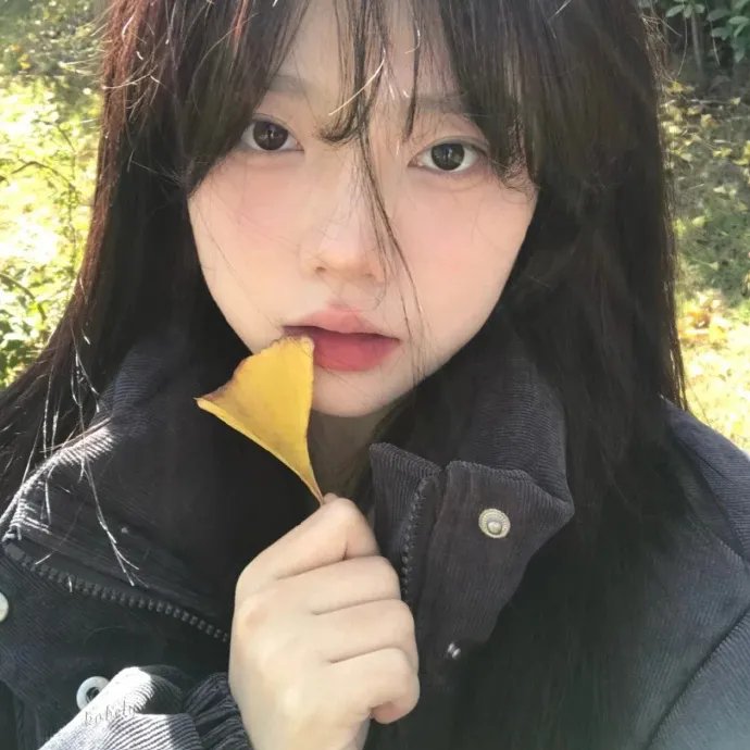 爱的寻觅